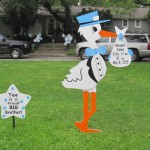 Blue Stork with Sibling Sign