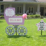 Pink Carriage with Sibling Sign