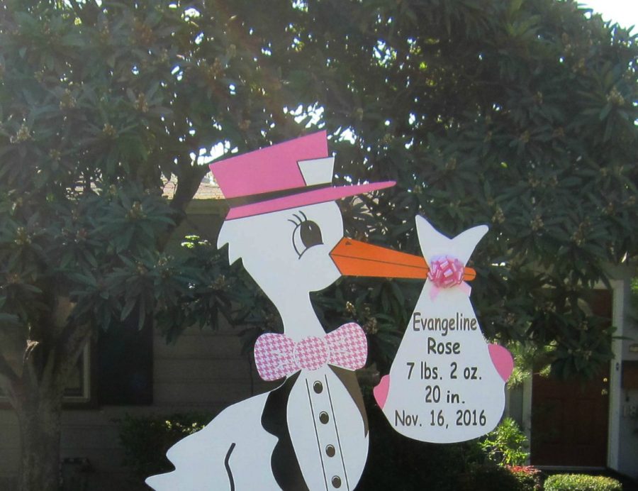 stork baby signs san antonio Stork Lady Signs