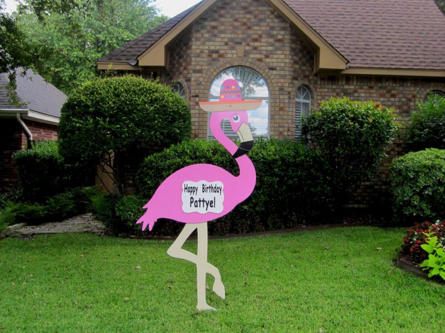 Birthday Flamingo Lawn Sign San Antonio Stork Lady Signs