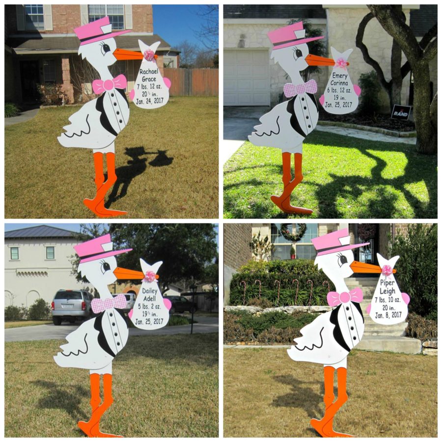Girl Stork Yard Sign Deliveries San Antonio Stork Lady Signs
